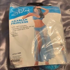 WOMEN not kids! Arabian princess Halloween costume